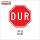 TT-2 DUR